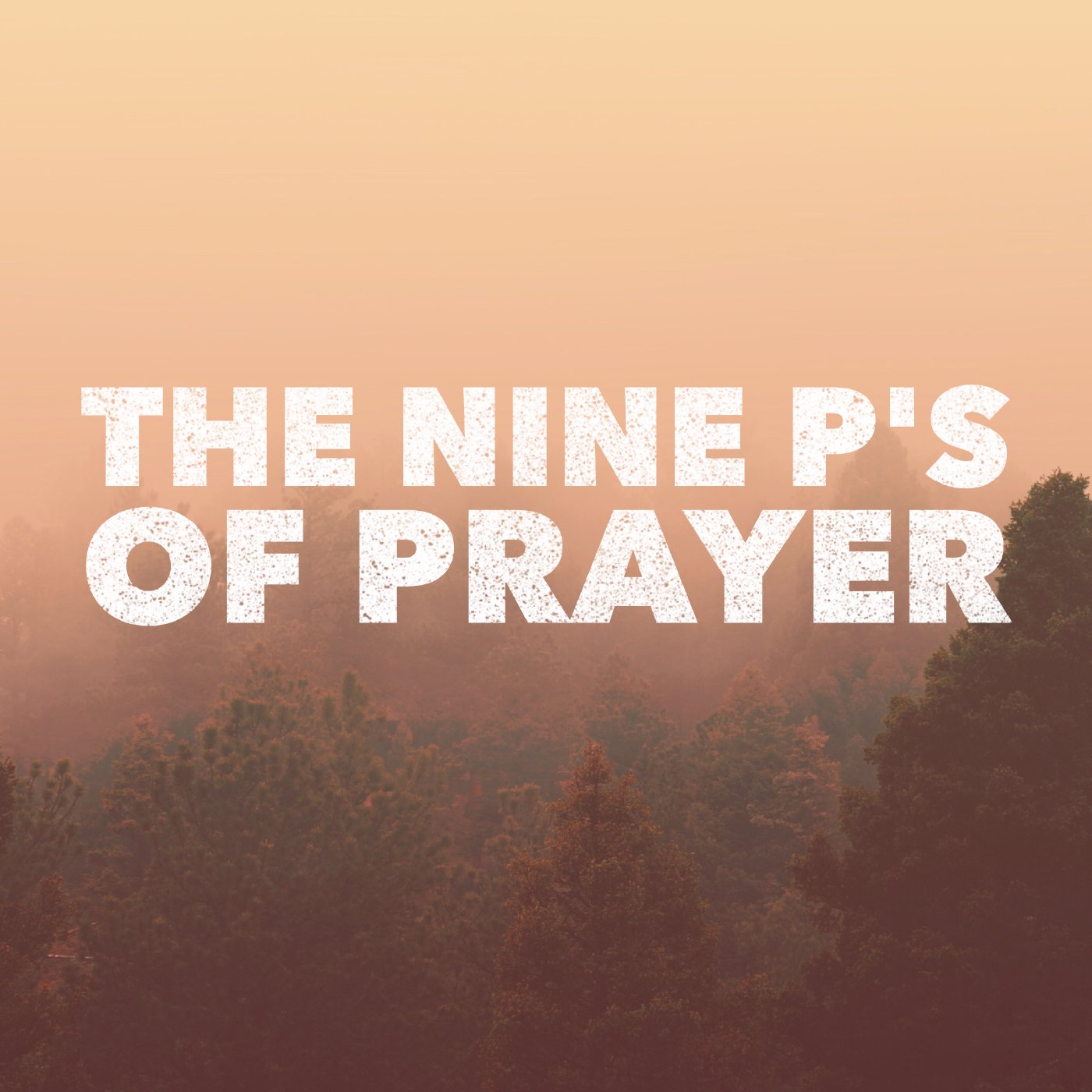 Persistence, Privilege, and Process in Prayer episode artwork