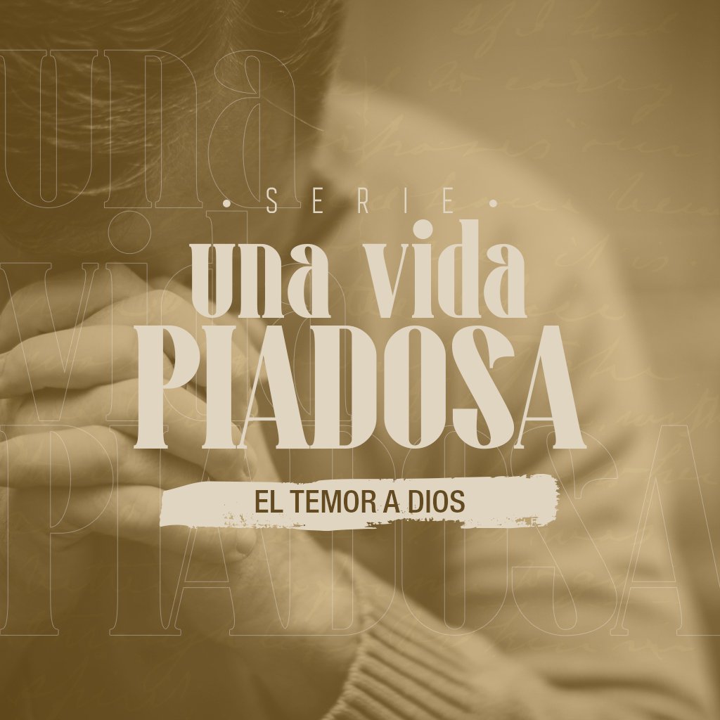 Volvamos a la Palabra