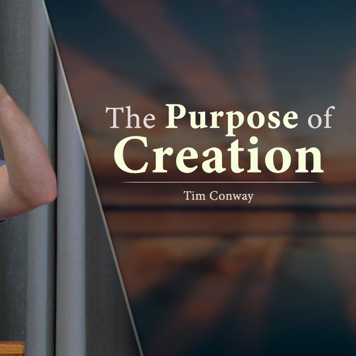 The Purpose of Creation episode artwork
