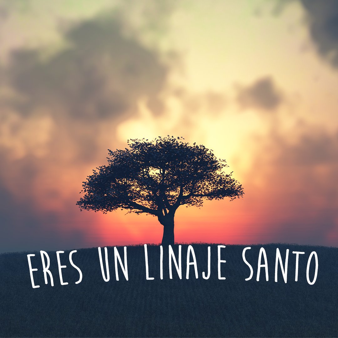 Eres un Linaje Santo #11 episode artwork
