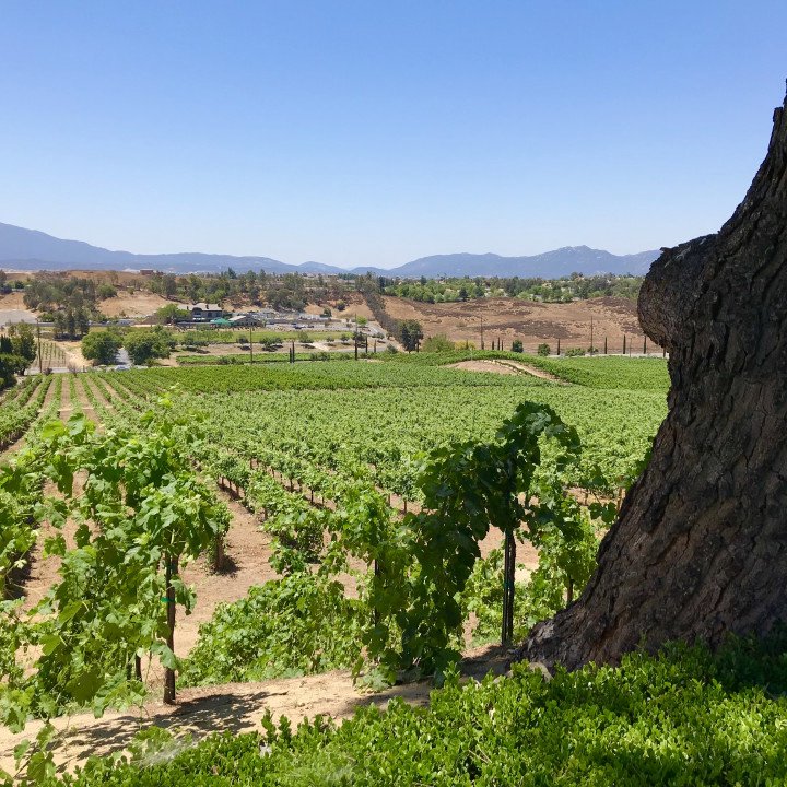 St. Paul\'s Lockport Sermons