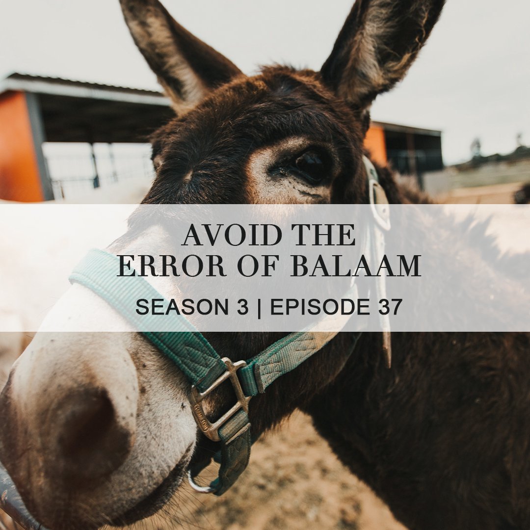 Avoid the Error of Balaam episode artwork