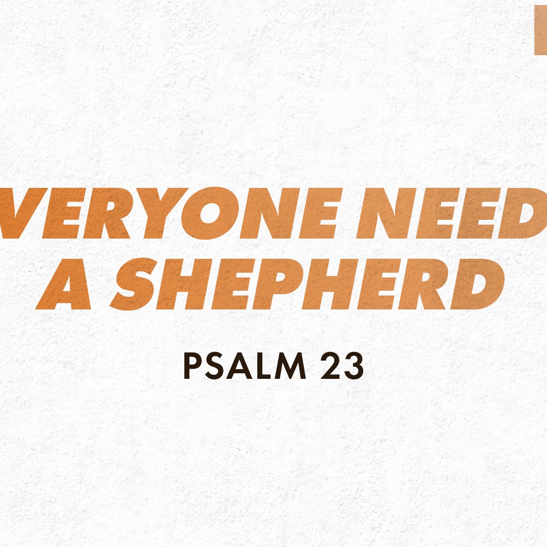 Everyone Needs a Shepherd episode artwork
