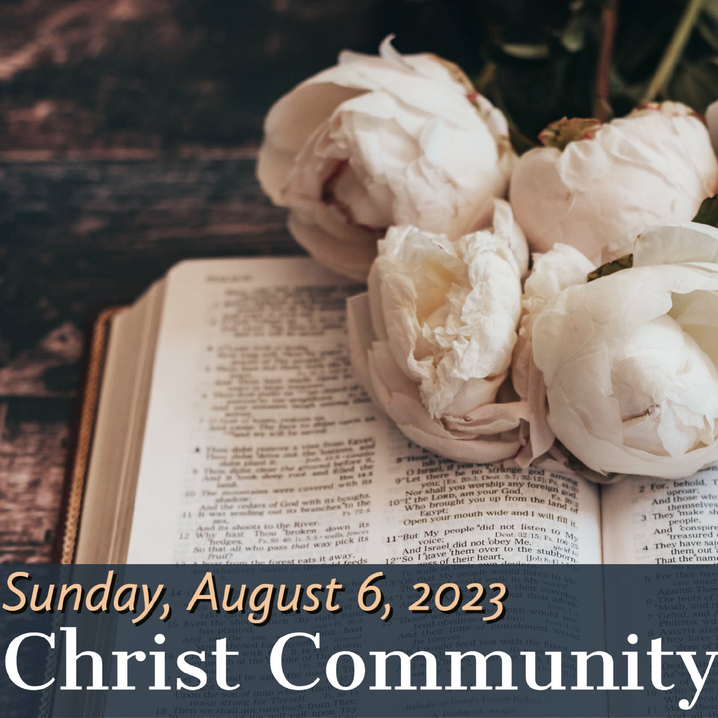 Christ Community Gainesville
