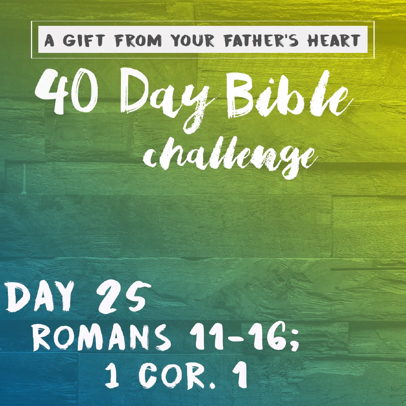 Day 25 - Romans 11-16; 1 Cor. 1 episode artwork