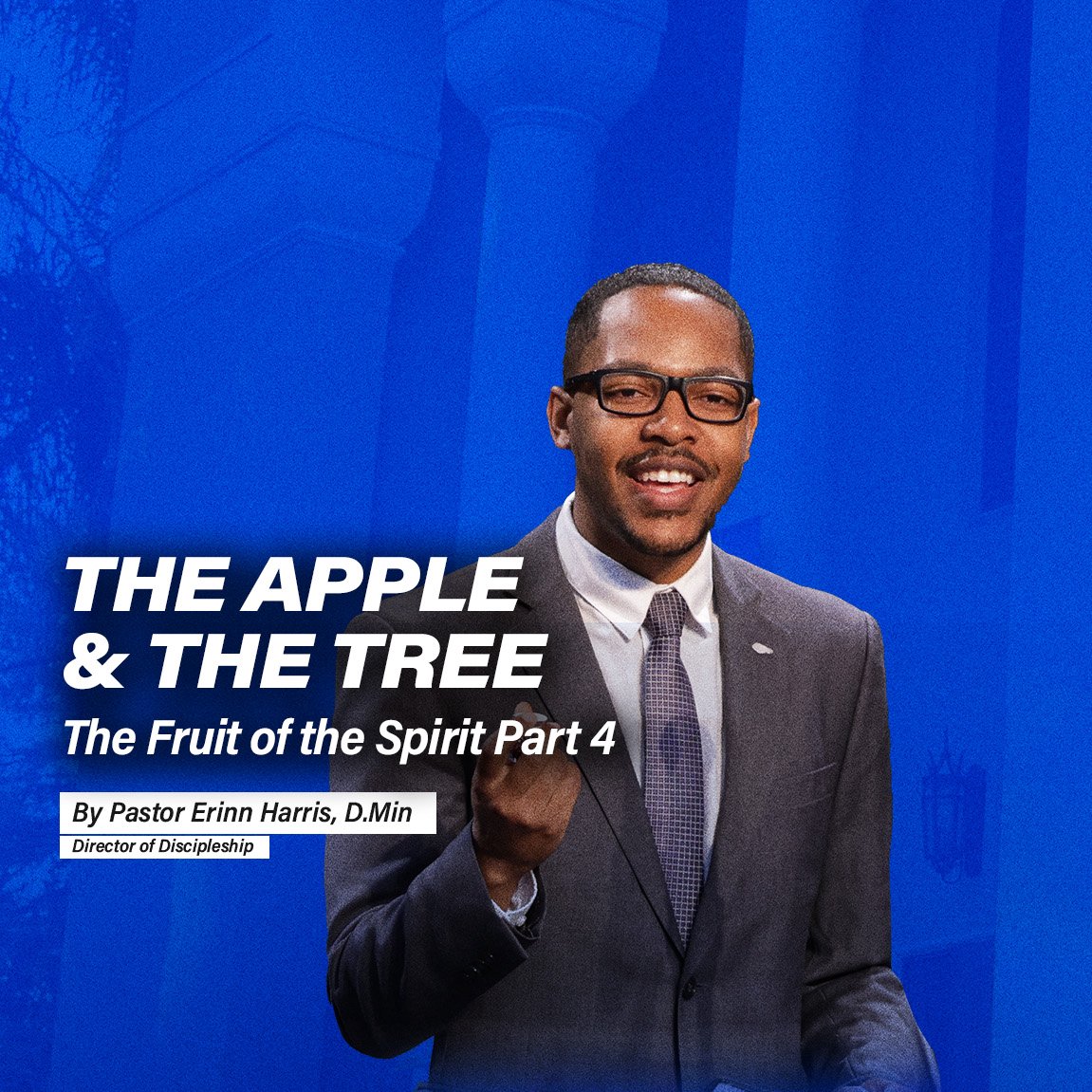 The Apple & The Tree episode artwork