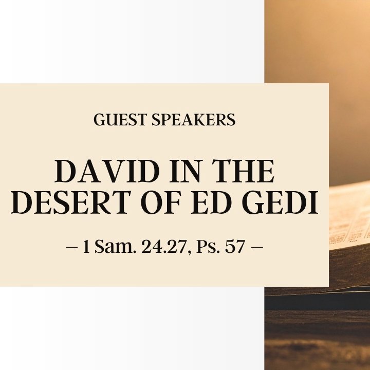 David in the Desert of Ed Gedi | Guest Speakers episode artwork
