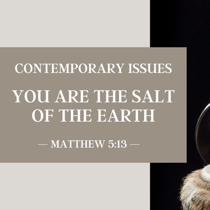 You Are the Salt of the Earth episode artwork