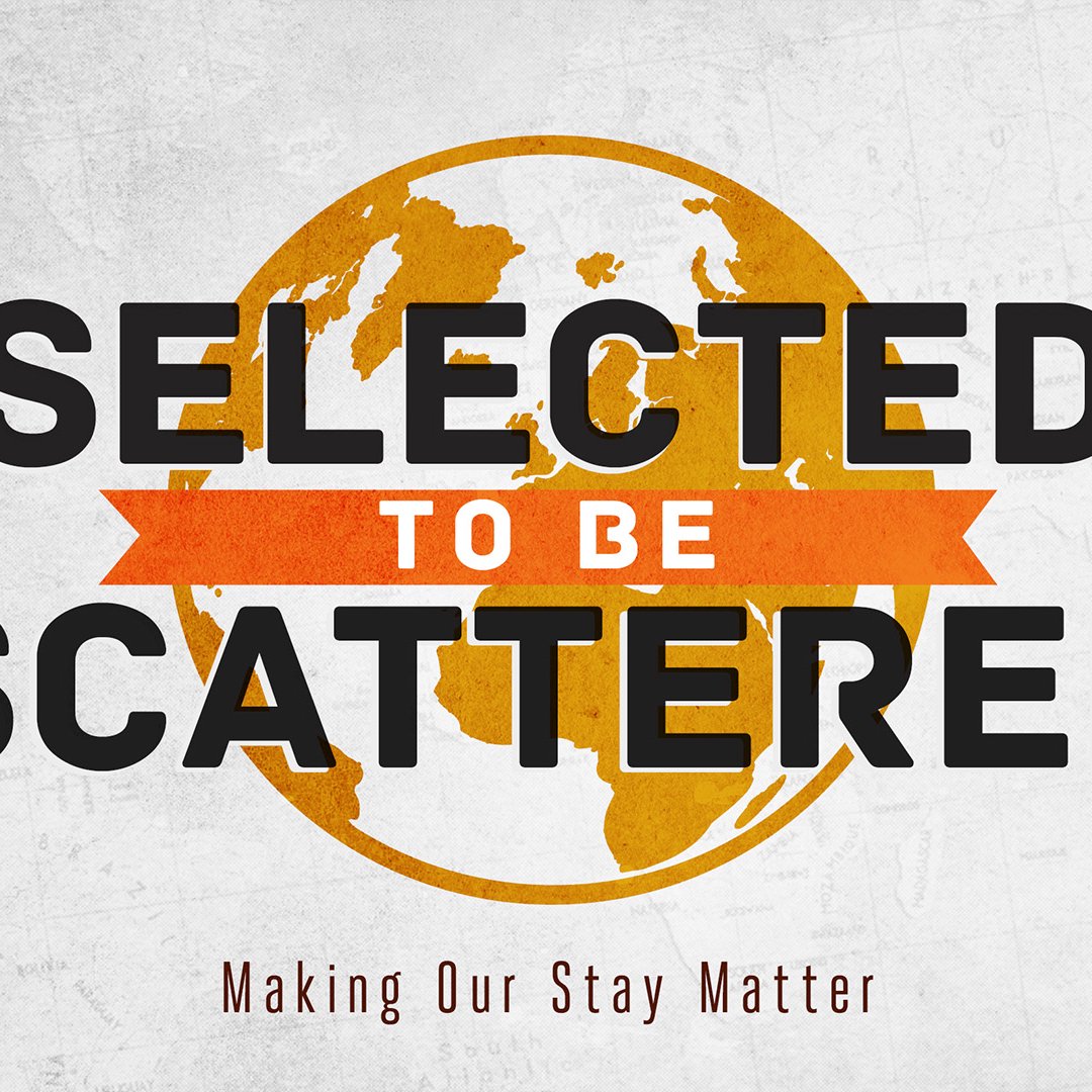 Making Our Stay Matter episode artwork