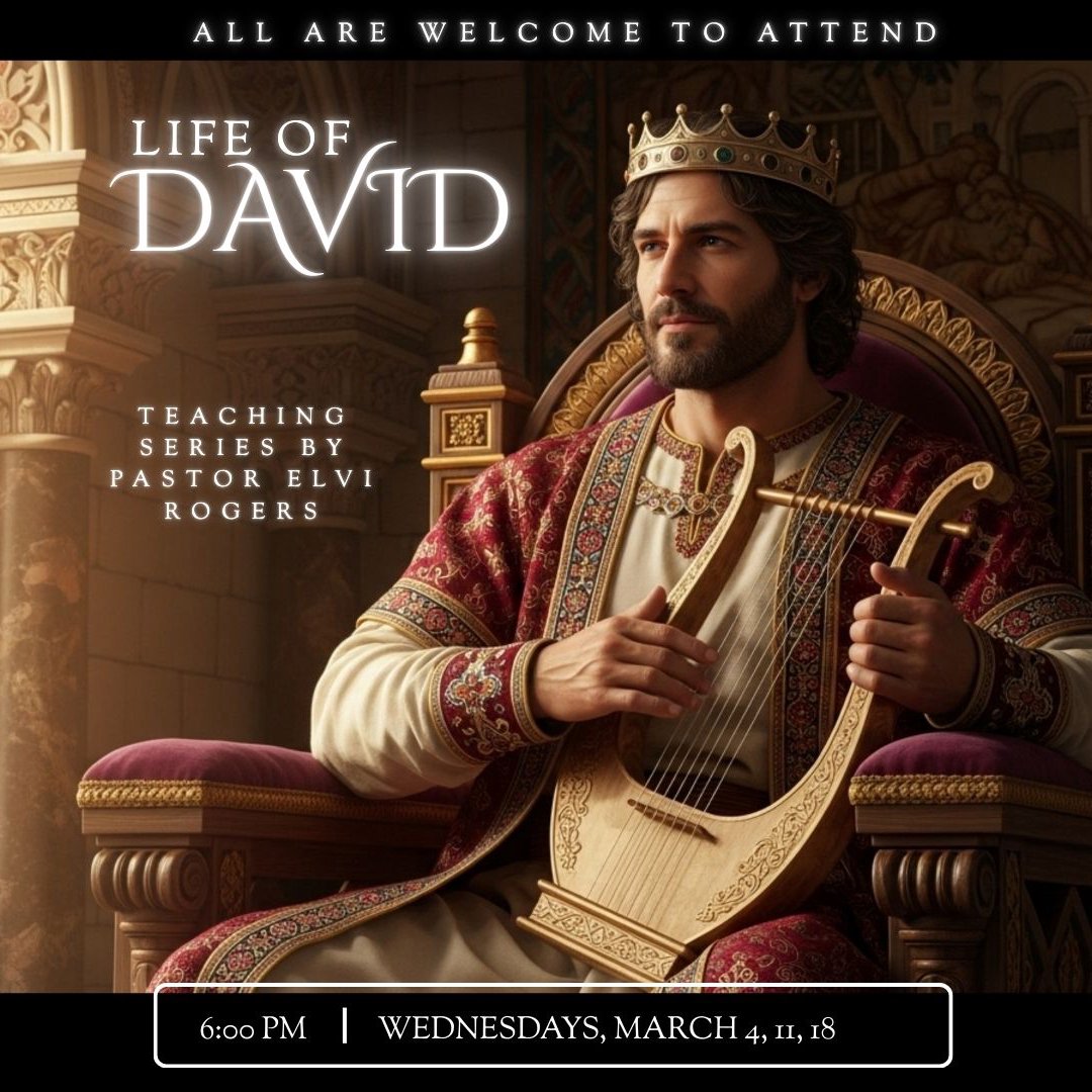 Life of David. P4 episode artwork