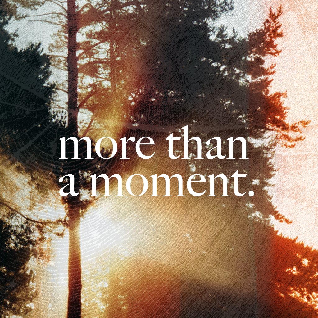 NEWLIFE.live