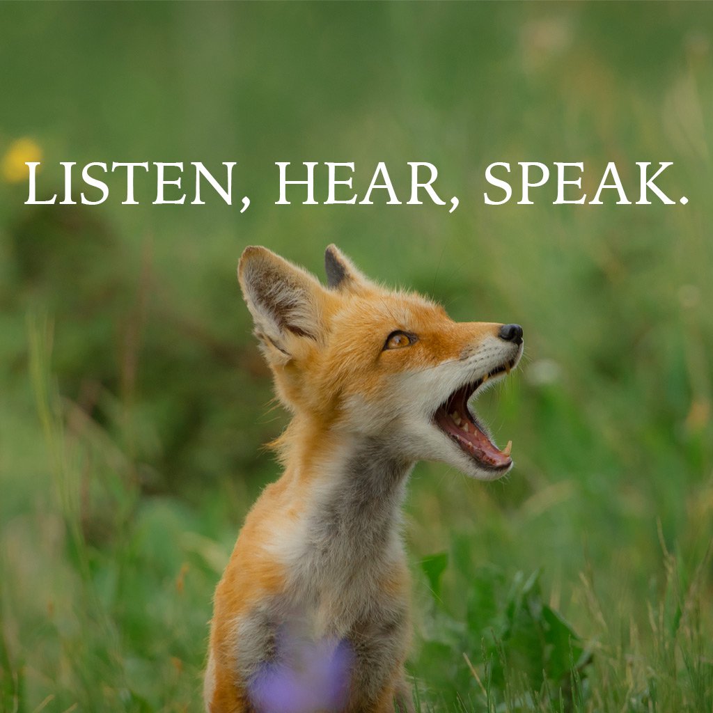 Listen, Hear, Speak. episode artwork