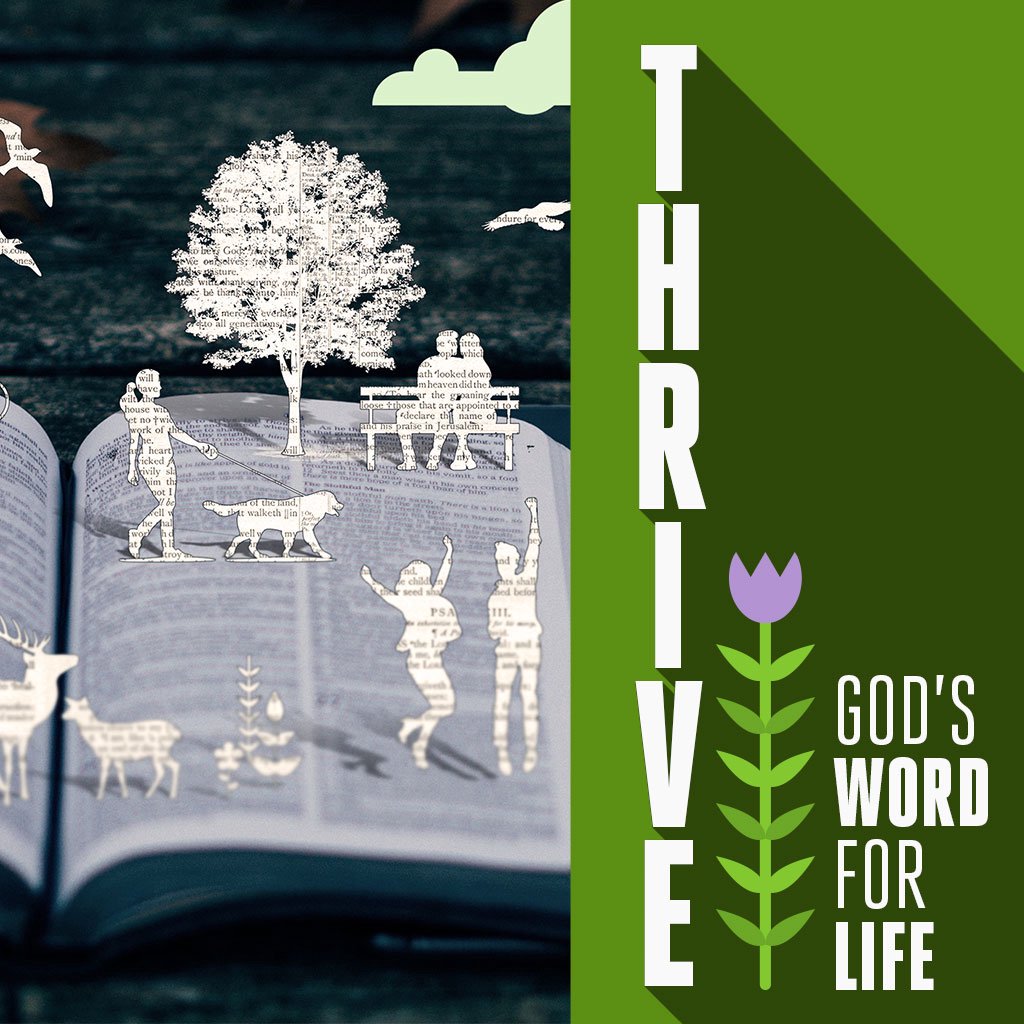 Established in the Word episode artwork