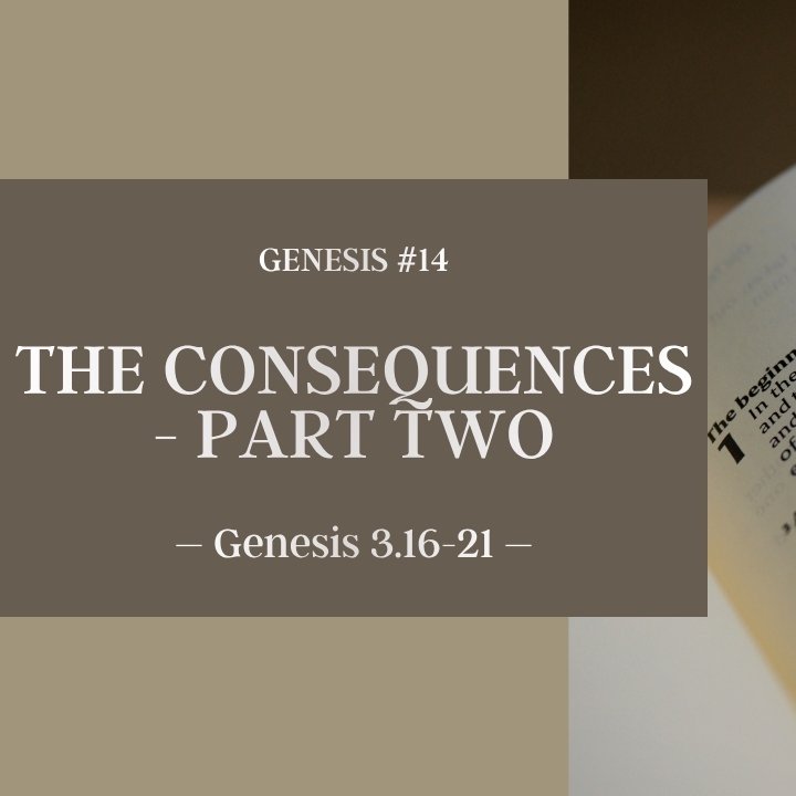 The Consequences - Part Two | Genesis #14 episode artwork