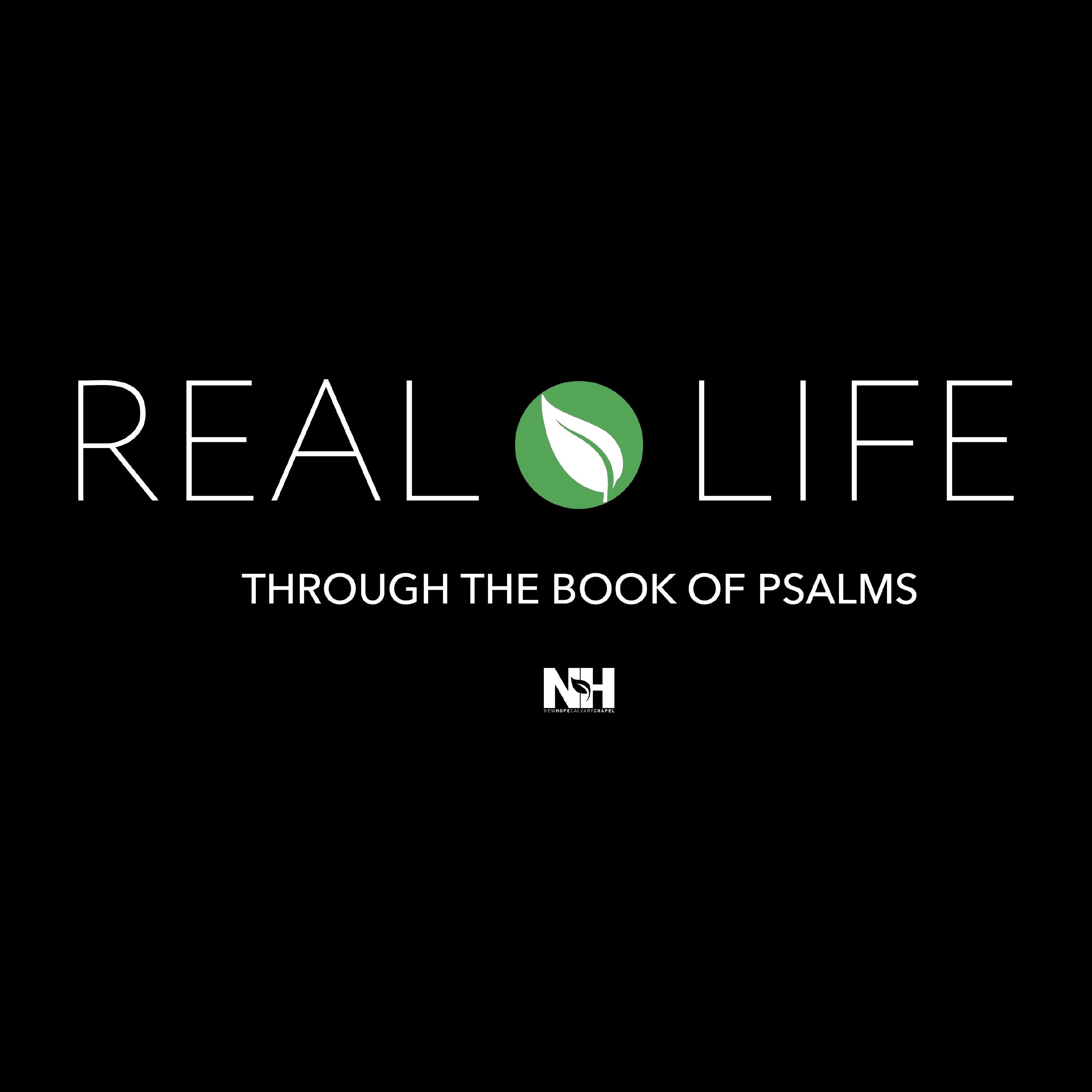 Real Life Through The Book Of Psalms cover