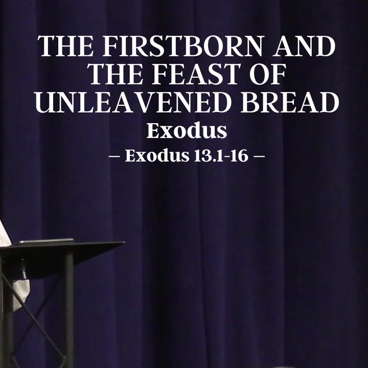 The Firstborn and the Feast of Unleavened Bread | Exodus episode artwork