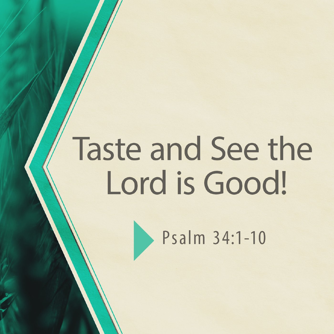 Taste and See the Lord is Good! episode artwork