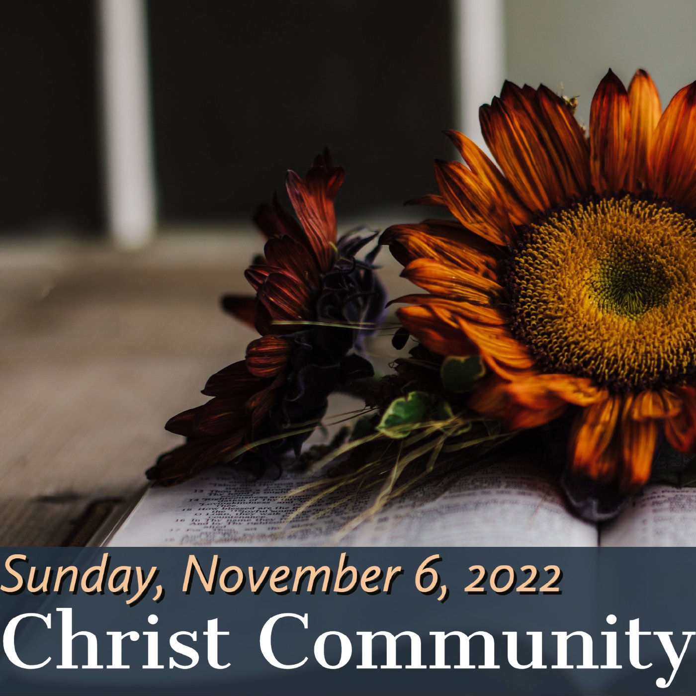 Christ Community Gainesville
