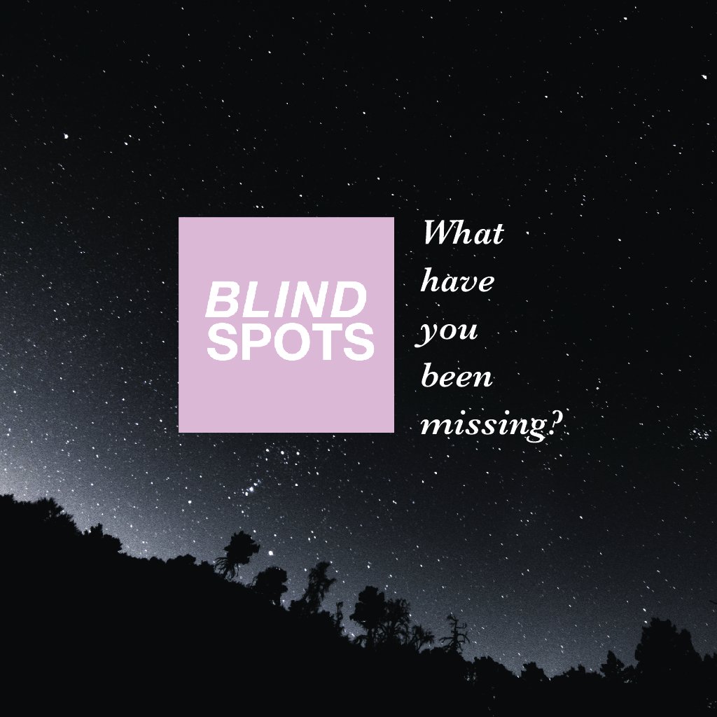 Blindspots | Part Two episode artwork
