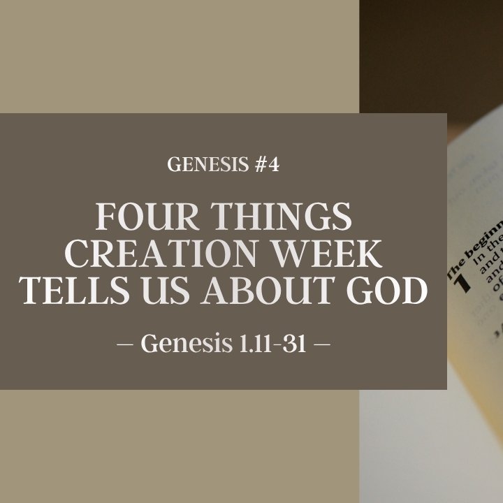 Four Things Creation Week Tells Us About God | Genesis #4 episode artwork