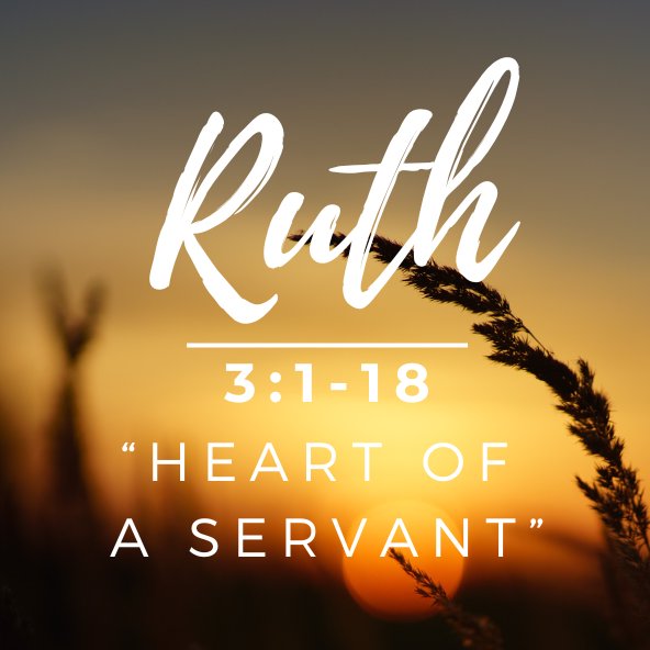 "Heart of a Servant" - Ruth 3 episode artwork