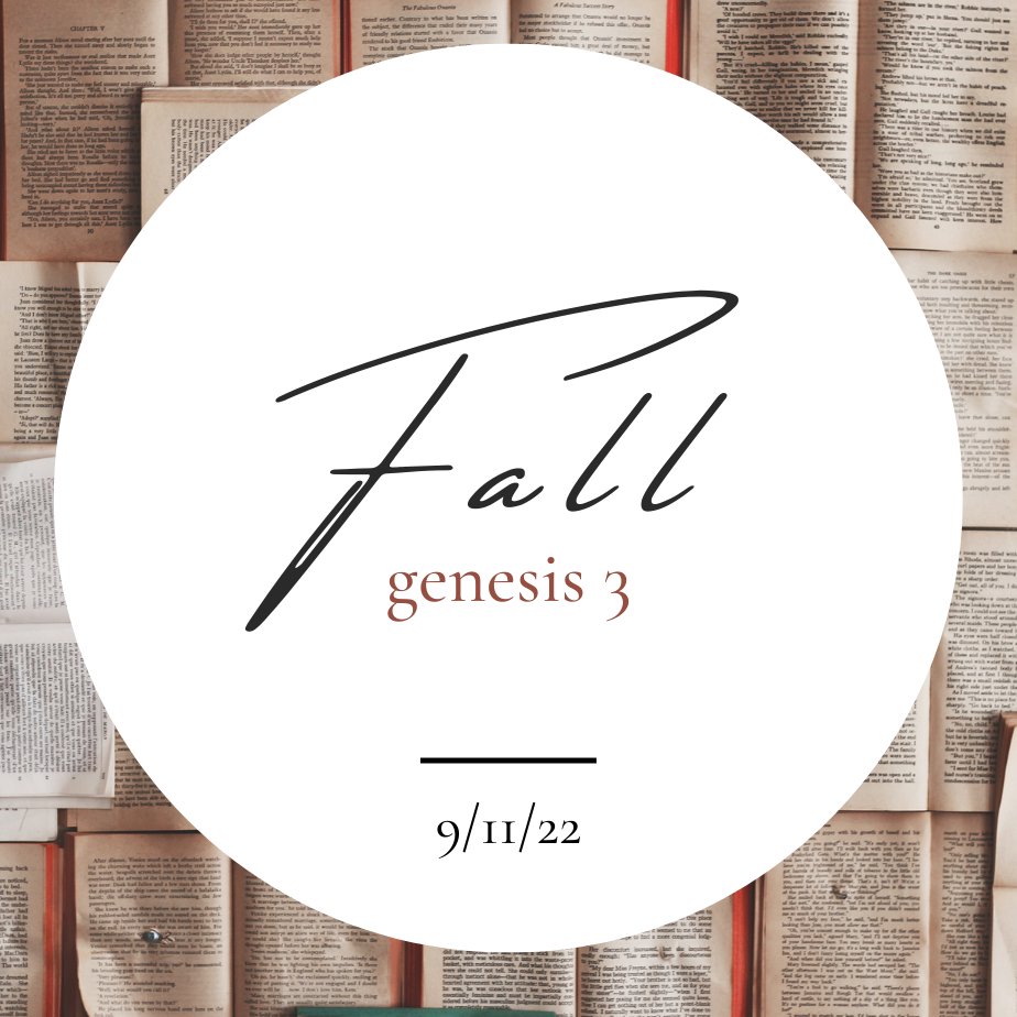 "The Fall" - Genesis 3 episode artwork
