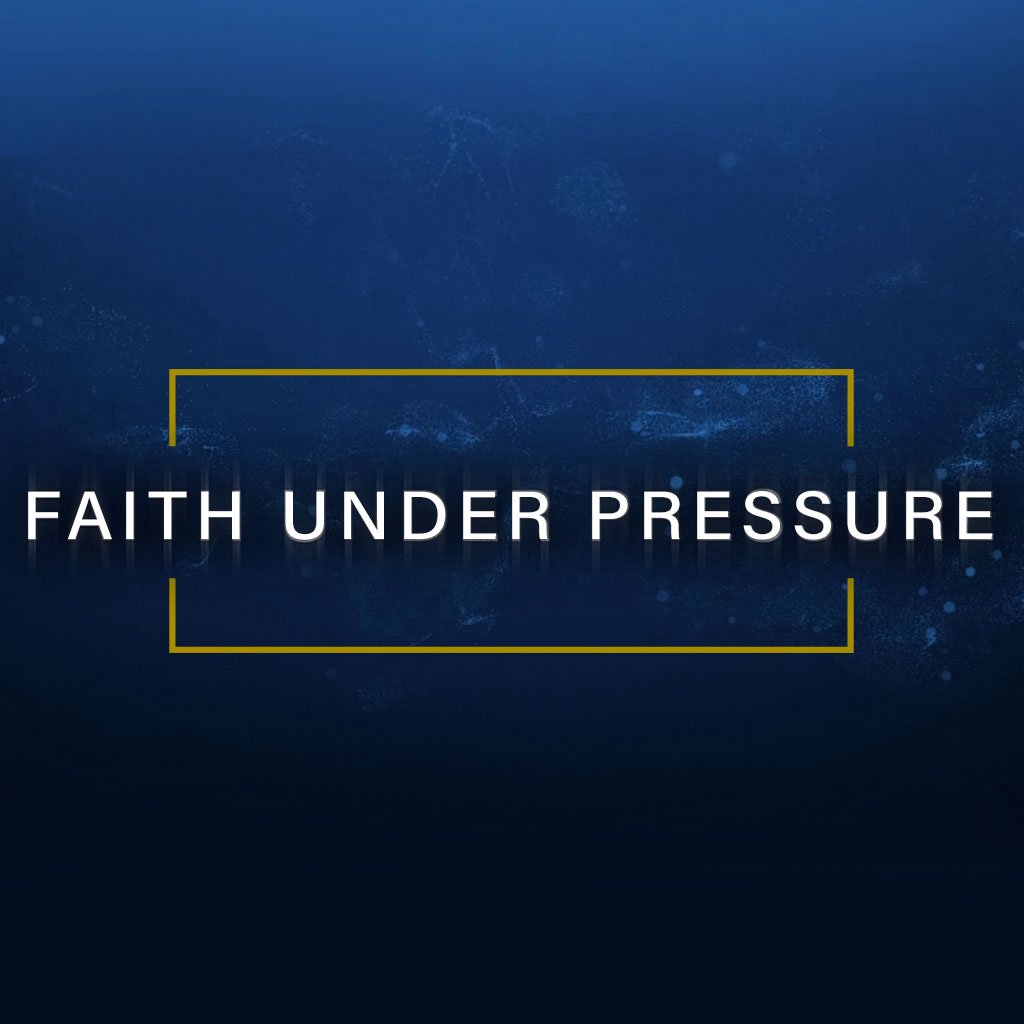 The storm, the shipwreck, and the snake