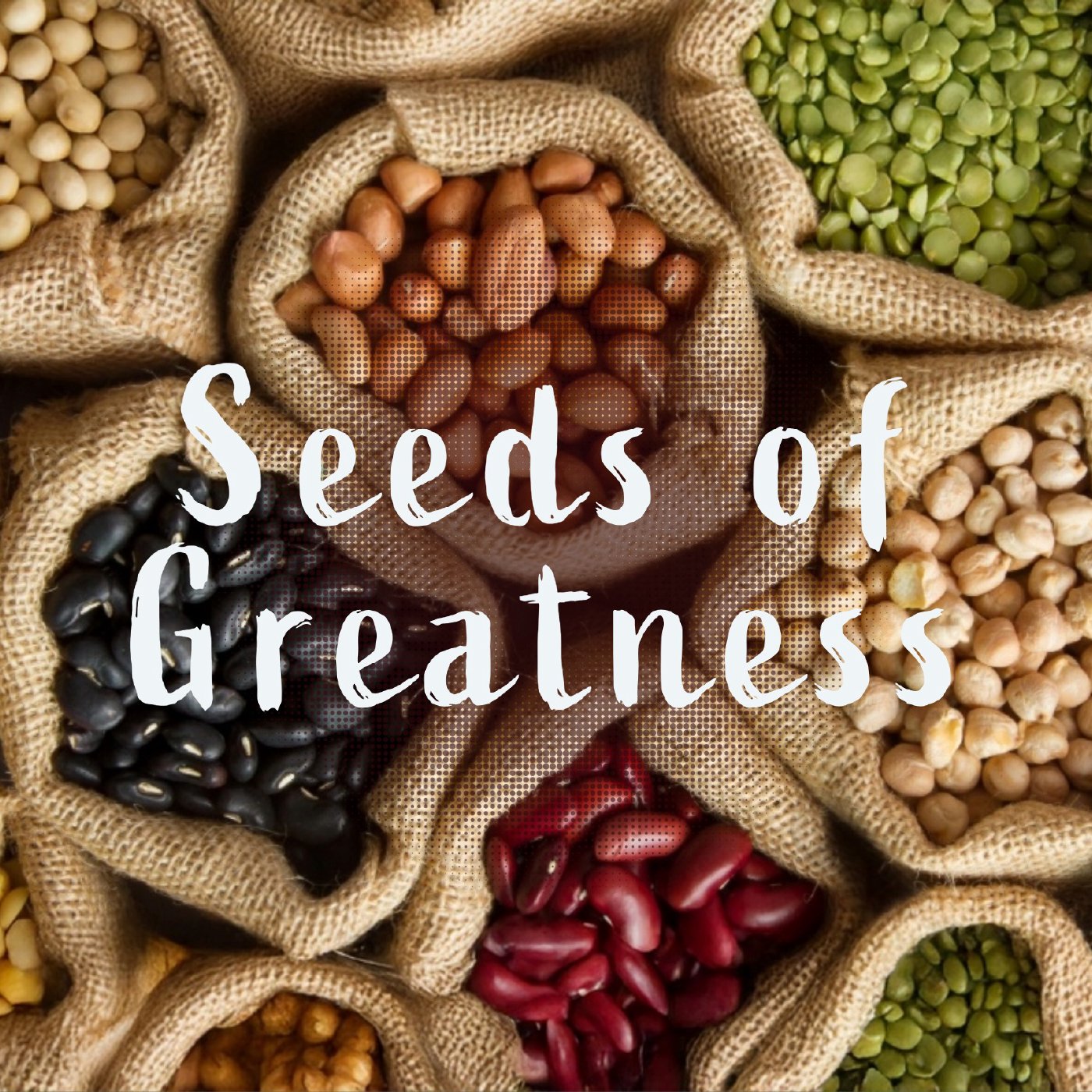 Seeds of Greatness episode artwork