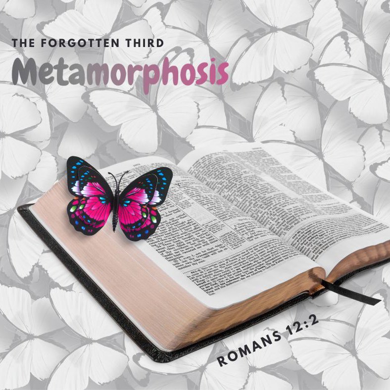 Metamorphosis episode artwork