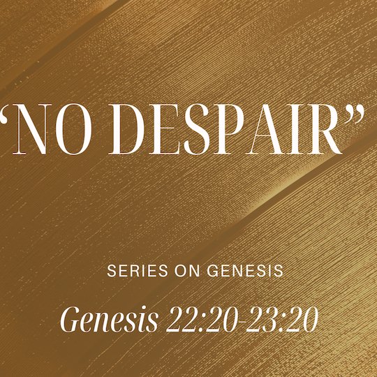 Genesis 22:20 -  23:20 - "No Despair" - September 14, 2025 episode artwork