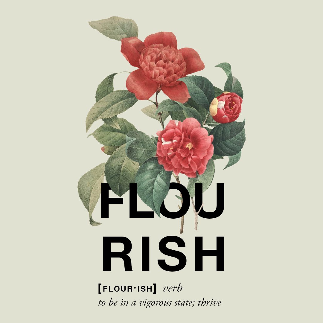 Created To Flourish episode artwork