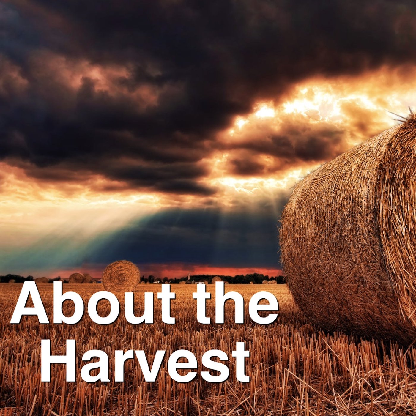 About The Harvest episode artwork