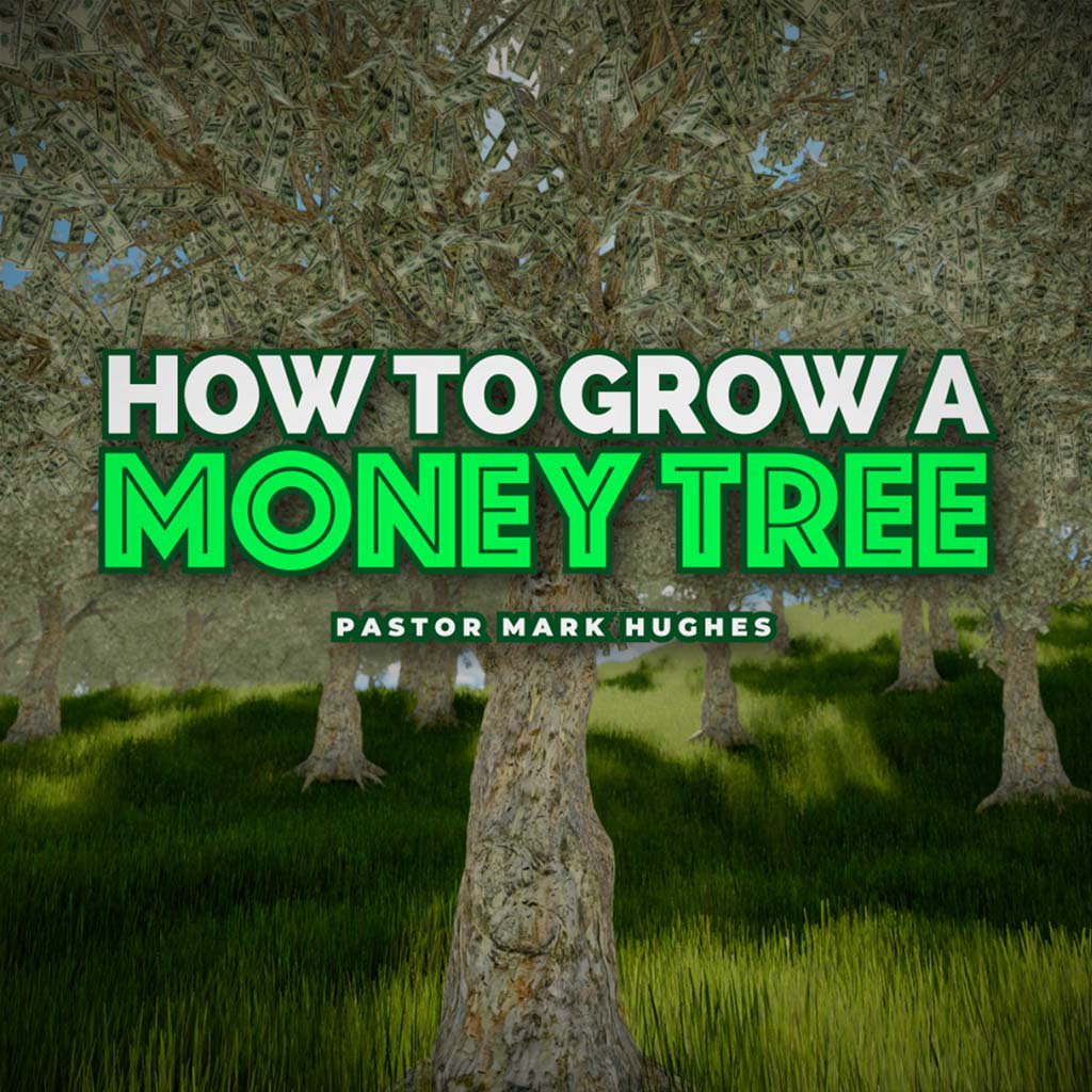 How To Grow A Money Tree (TV)