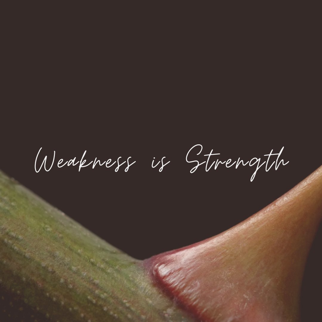Weakness is Strength