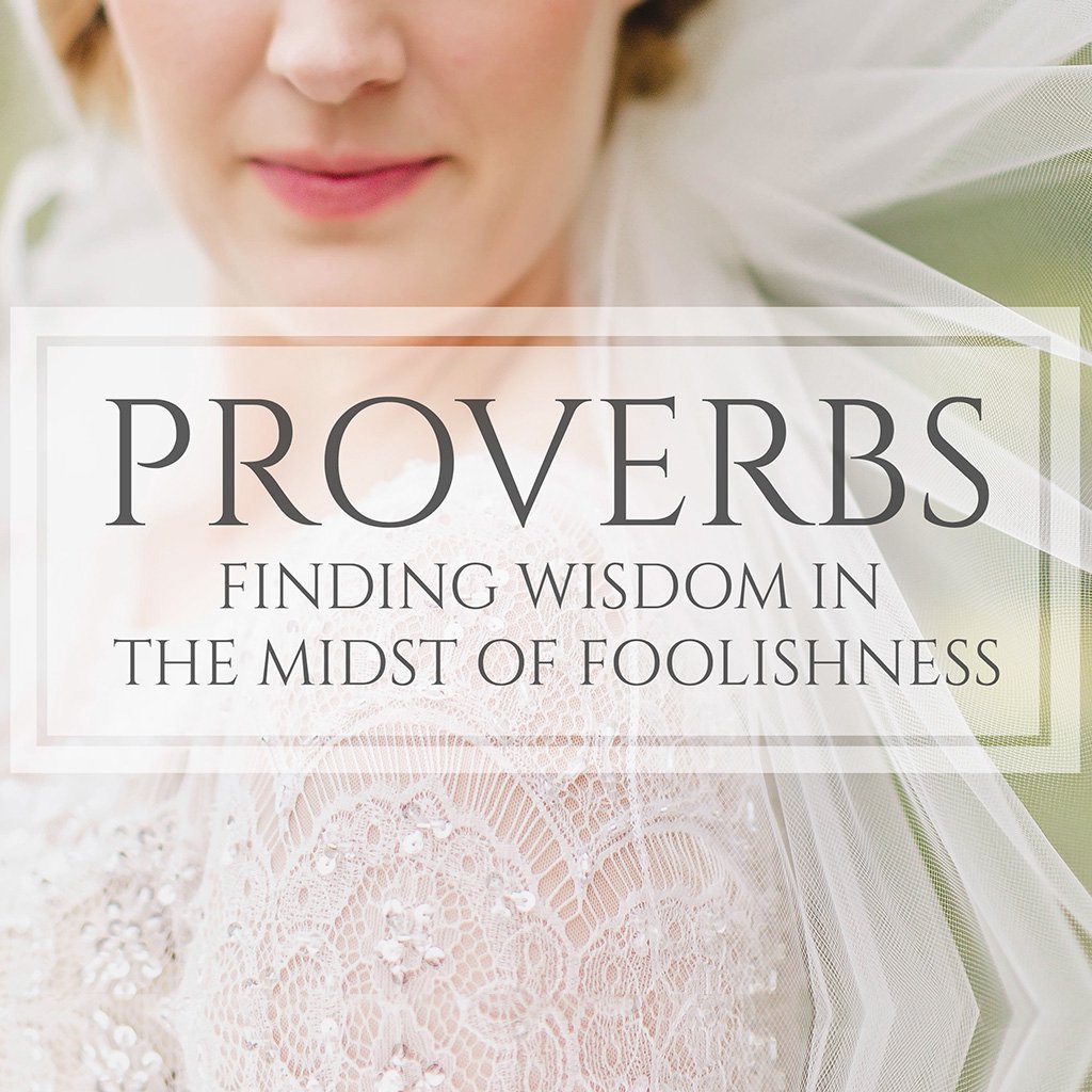 Finding Wisdom in the Midst of Foolishness - Proverbs episode artwork