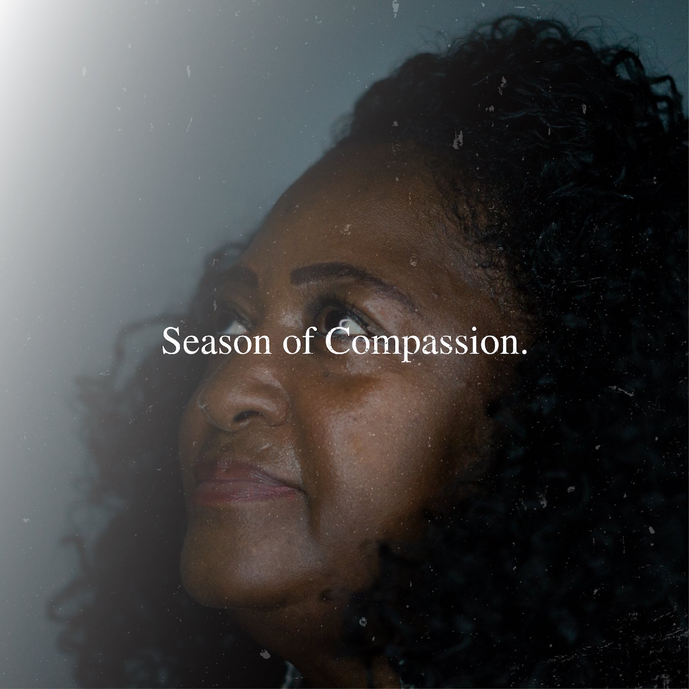 Season of Compassion || John 11 episode artwork