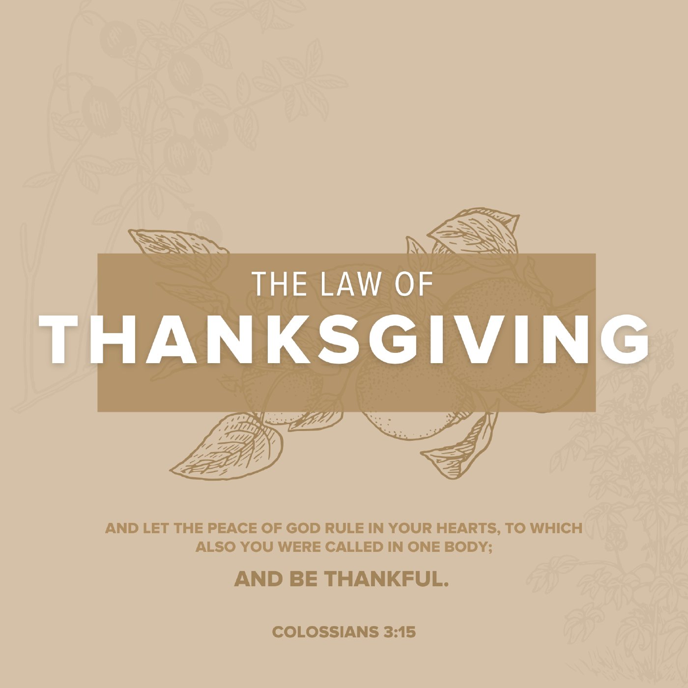 The Law of Thanksgiving | Part 3 | Gratitude