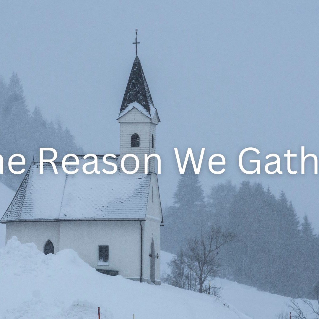 The Reason We Gather episode artwork