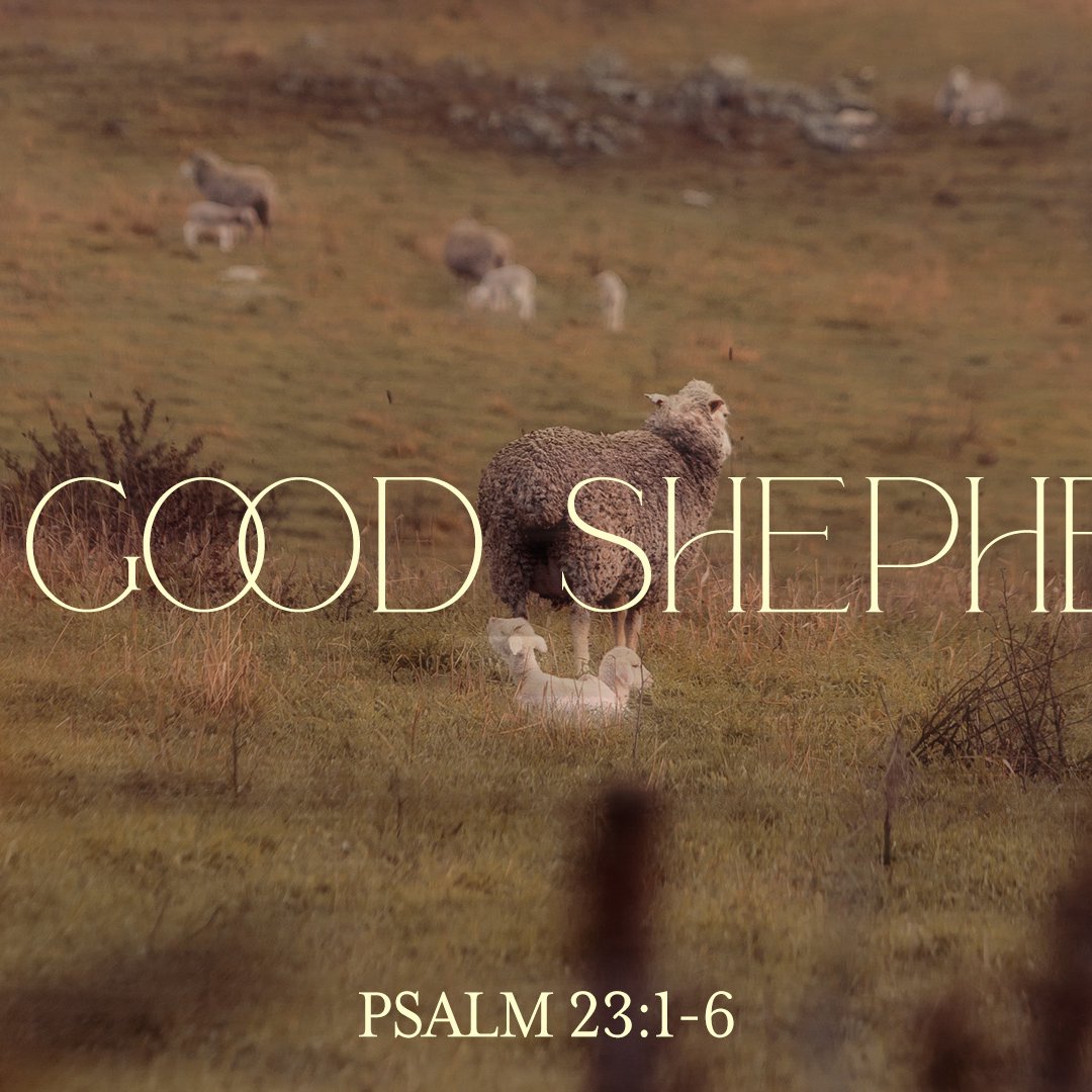 The Good Shepherd - Psalm 23 (Noah Illig) episode artwork