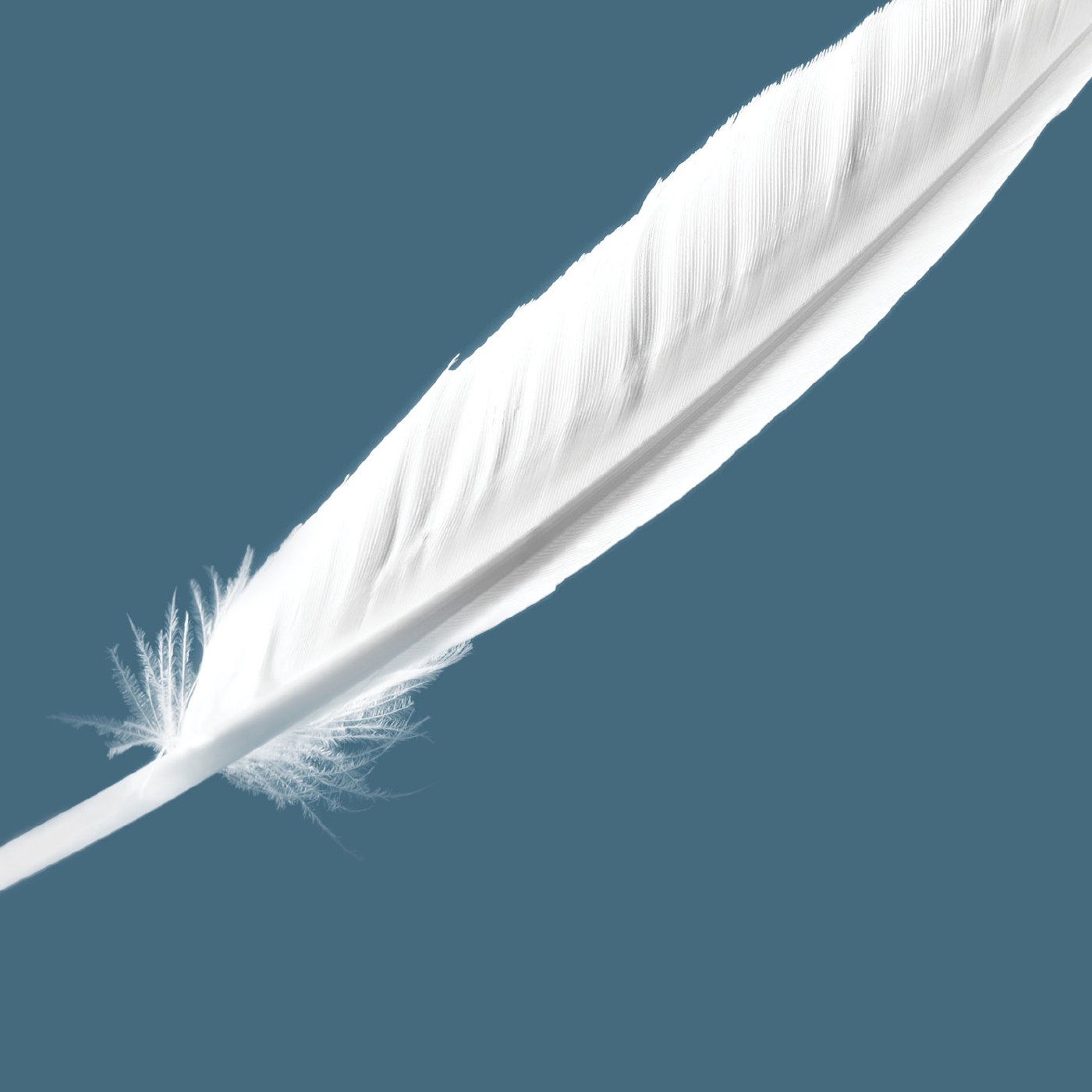 Destiny Live Messages with Pastor Keith O\'Neal