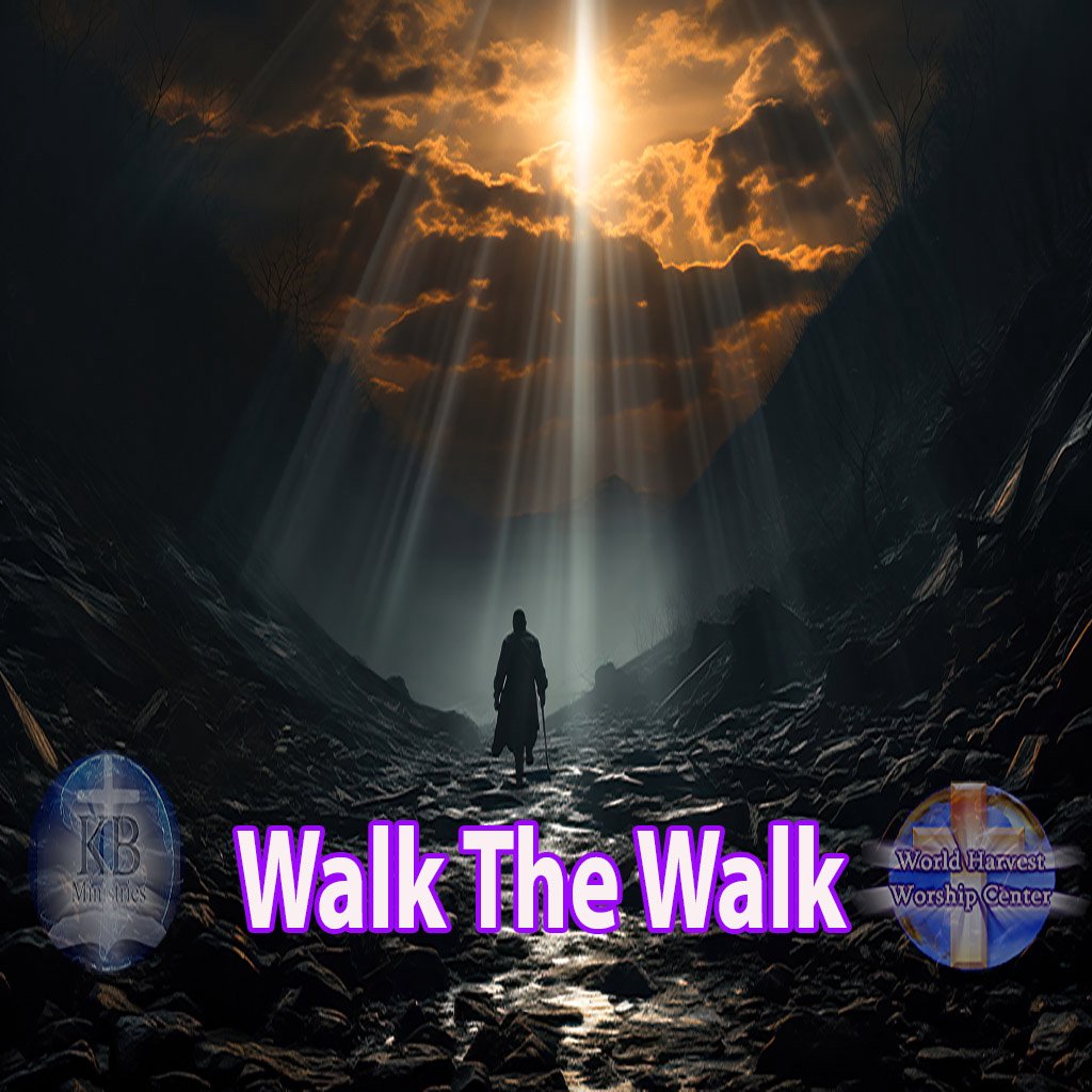 Walk The Walk Walk The Walk