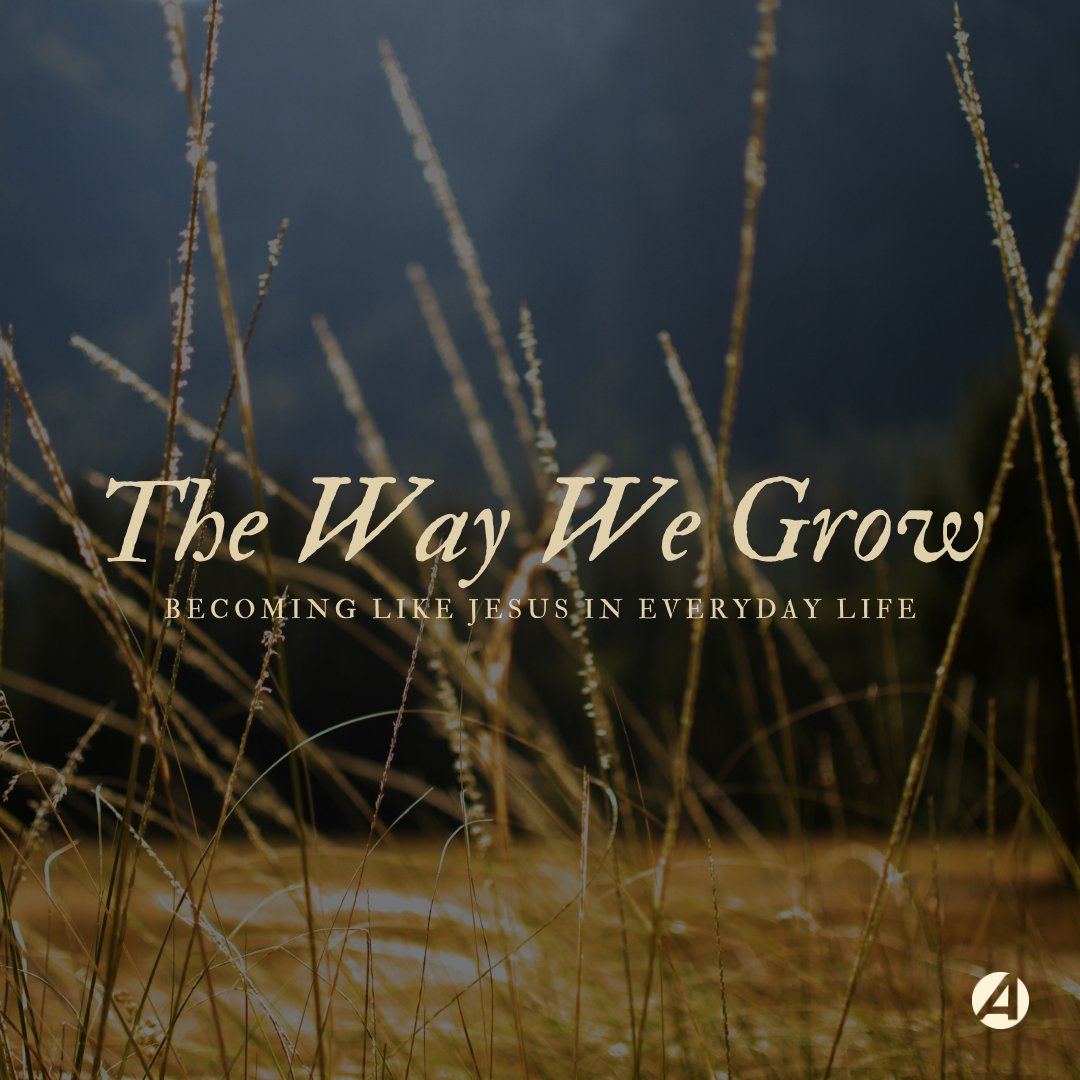 Tending to Growth: Meditation Tending to Growth: Meditation