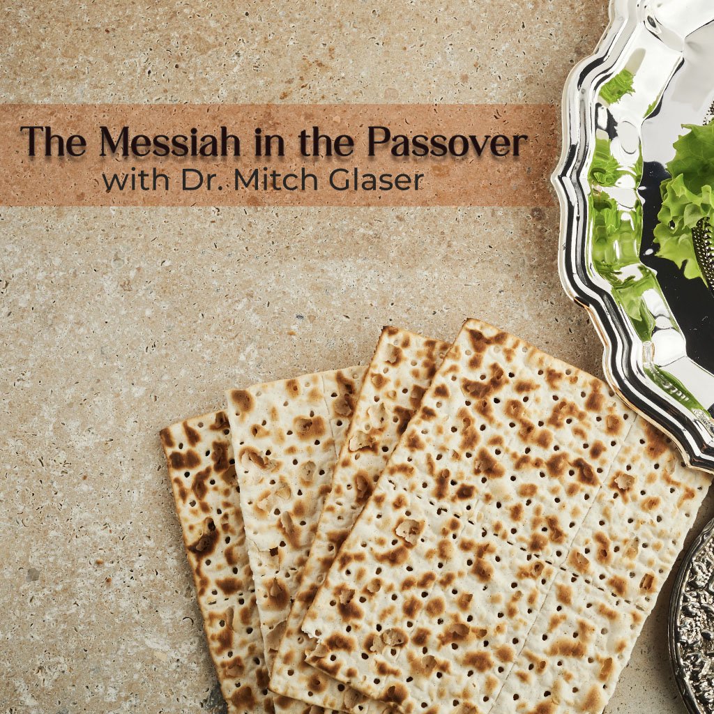Messiah in the Passover episode artwork