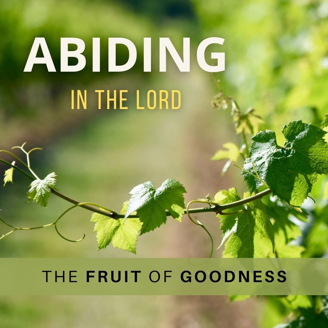 Abiding In the LORD - The Fruit of Goodness