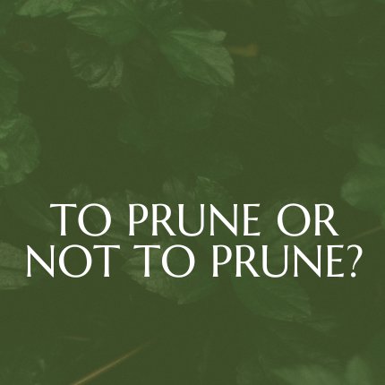 To Prune Or Not To Prune episode artwork