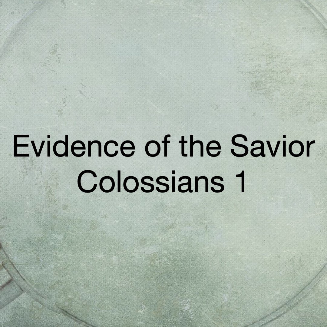 Evidence of the Savior episode artwork