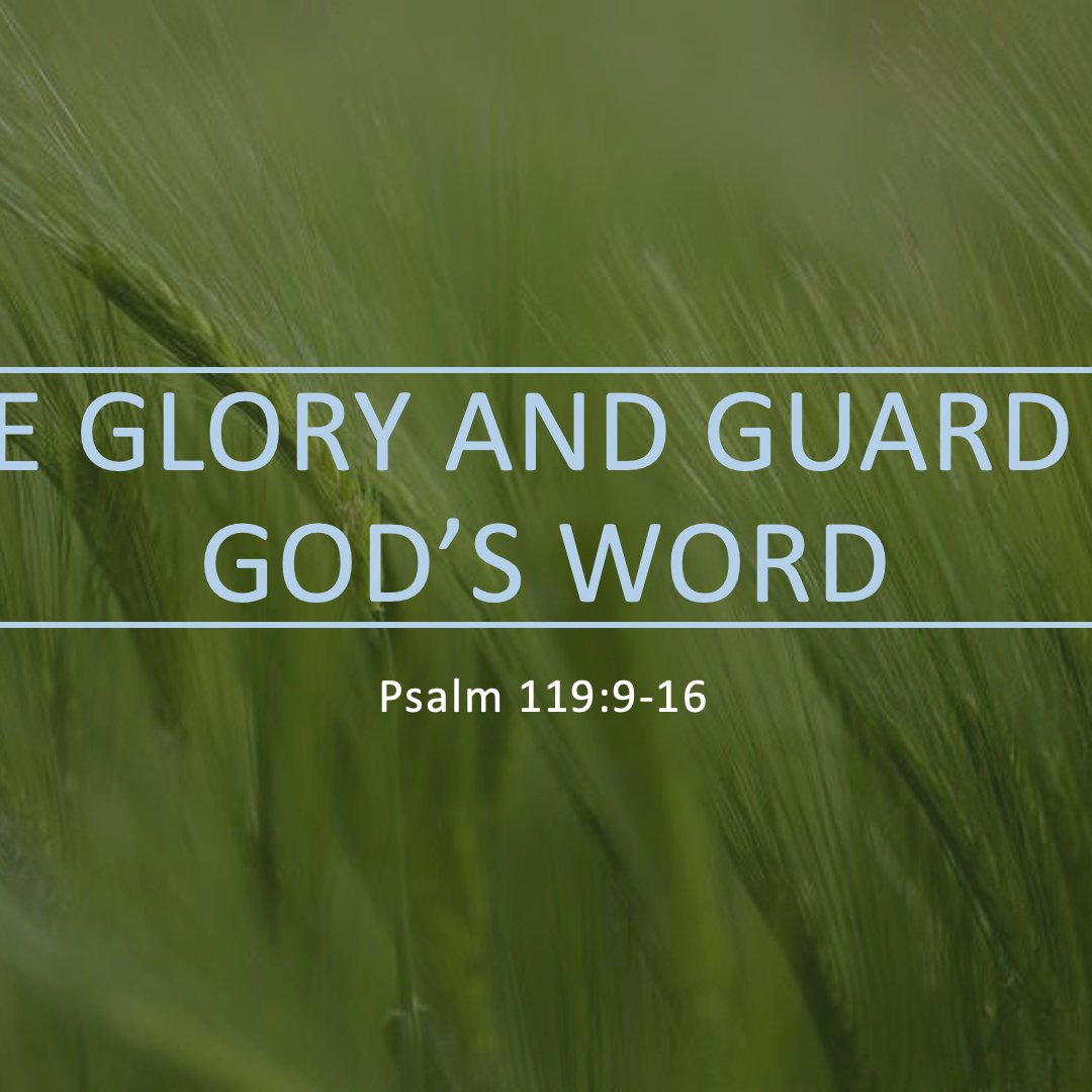 The Glory And Guard Of God's Word episode artwork