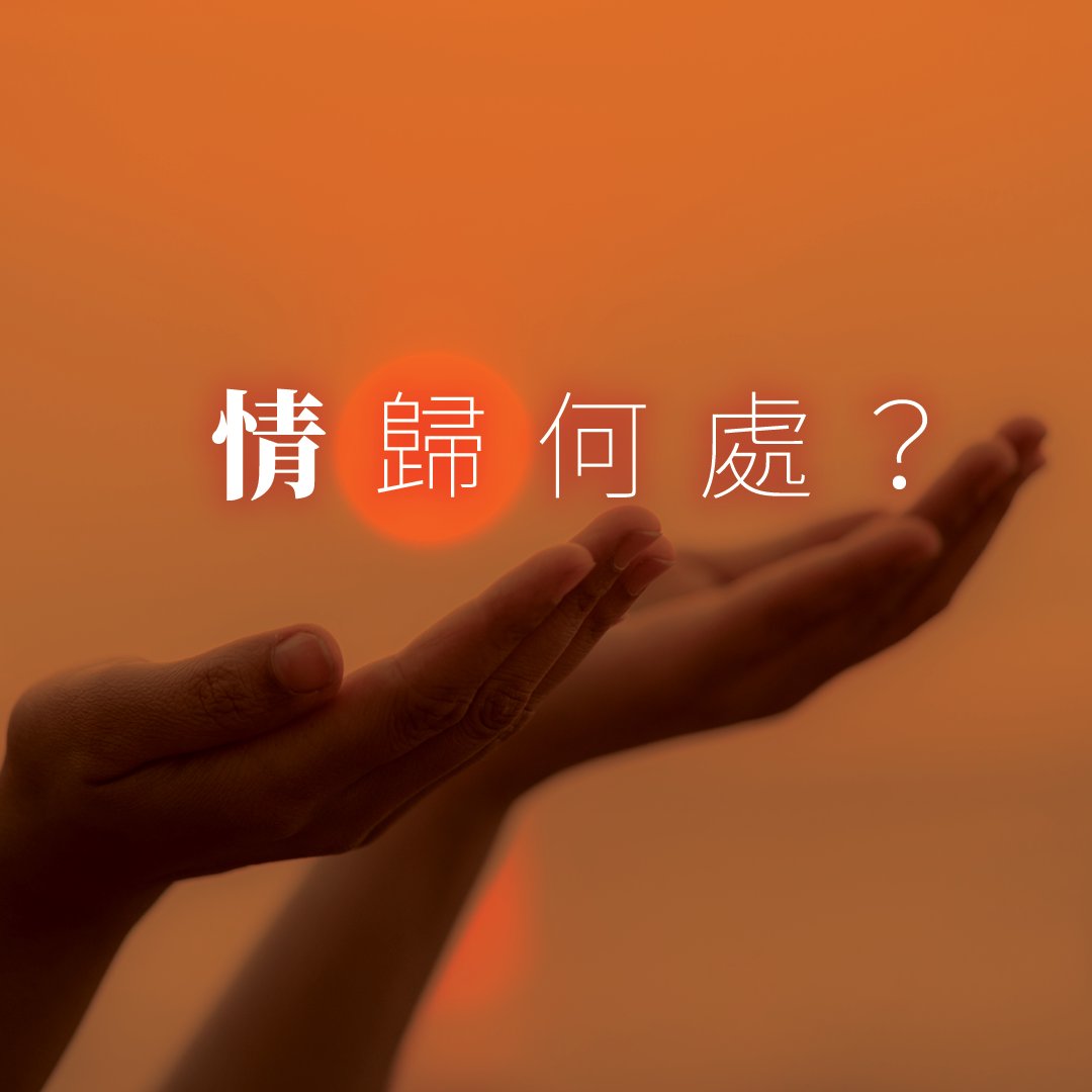 情歸何處？ episode artwork