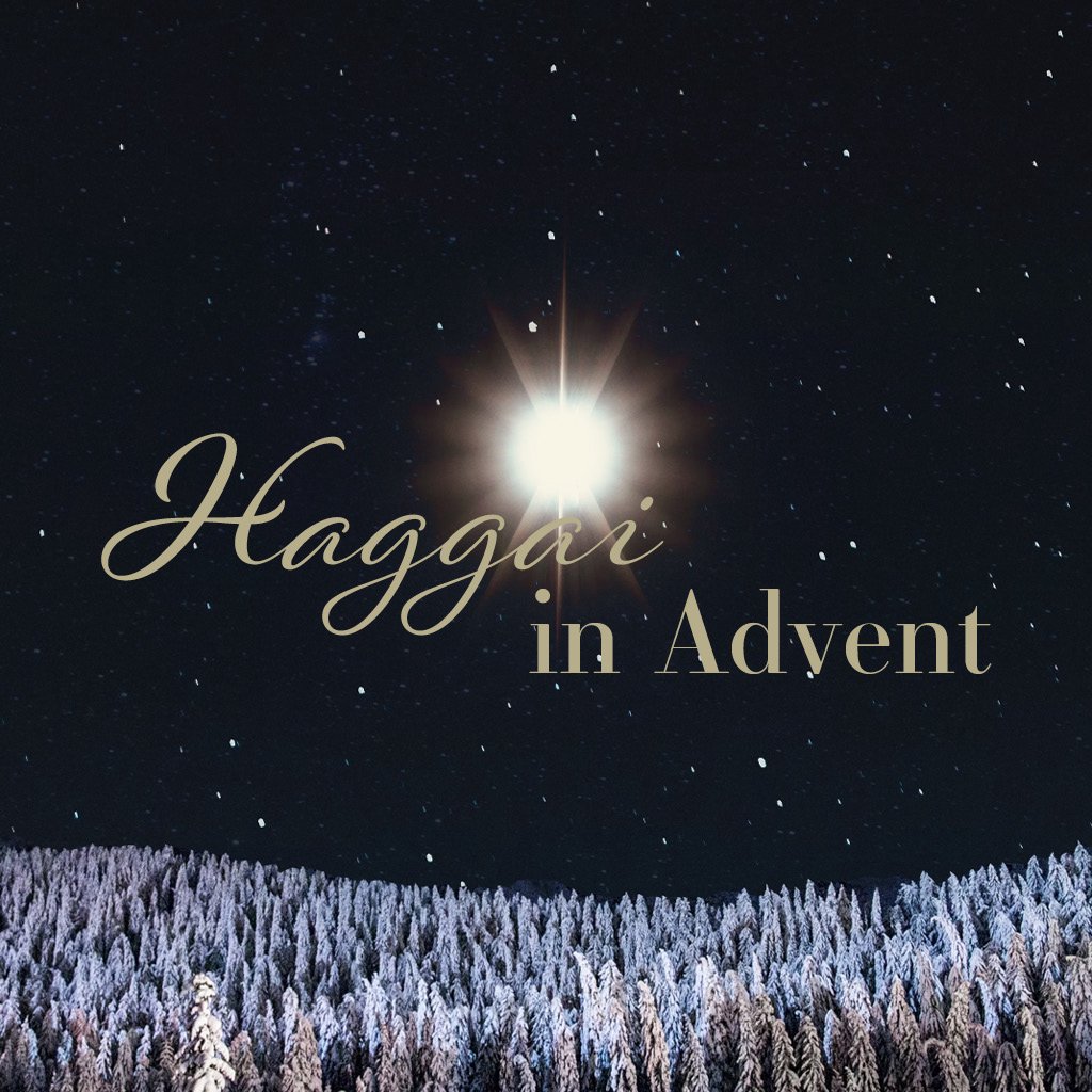 Haggai: God's Provision for the Present episode artwork
