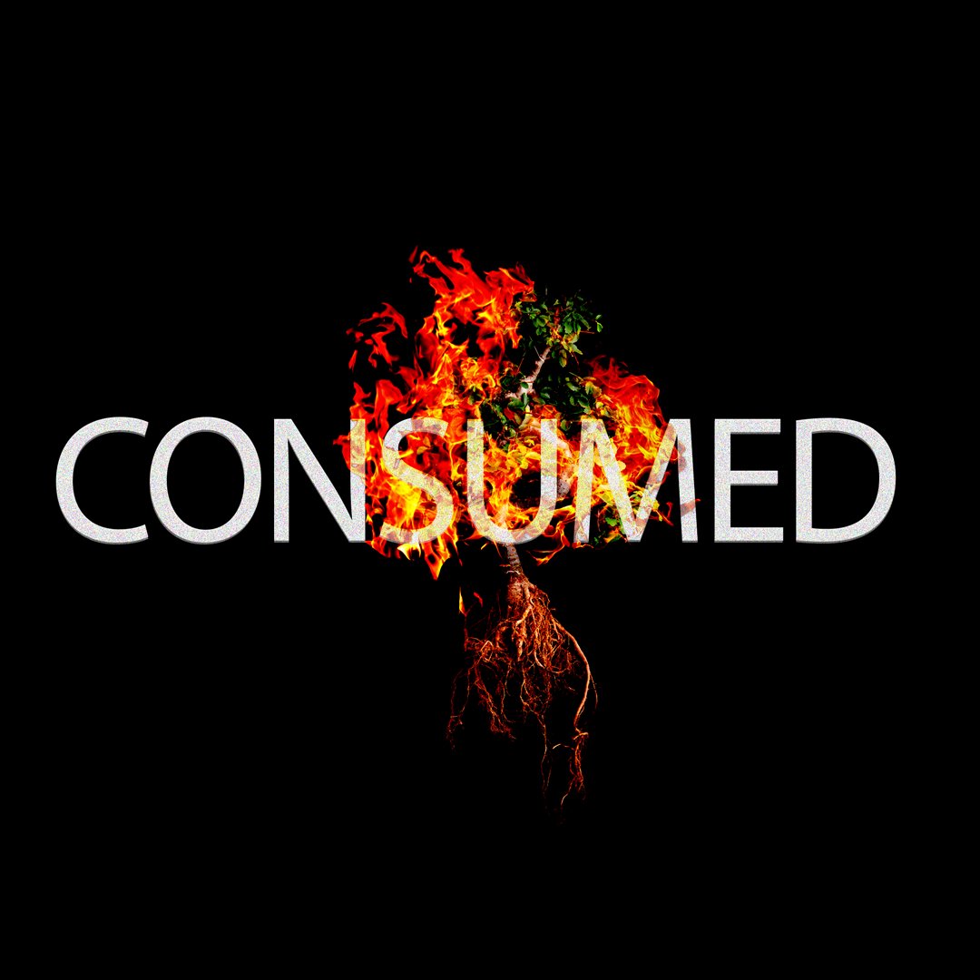 Consumed - Now what?